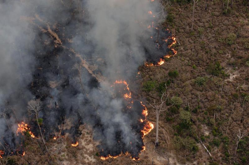 Brasil em Perigo: Queimadas Recordes Desencadeiam Alerta Global