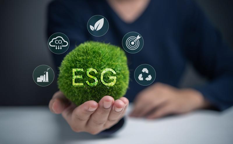 Empresas com Práticas de ESG se Destacam em um Mercado Cada Vez Mais Competitivo