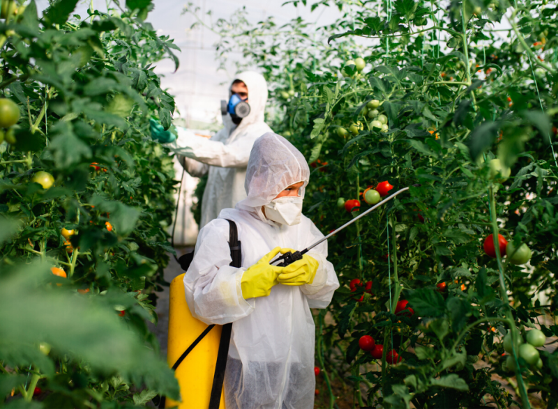 Uso de Agrotóxicos no Brasil: Impactos, Avanços e Desafios