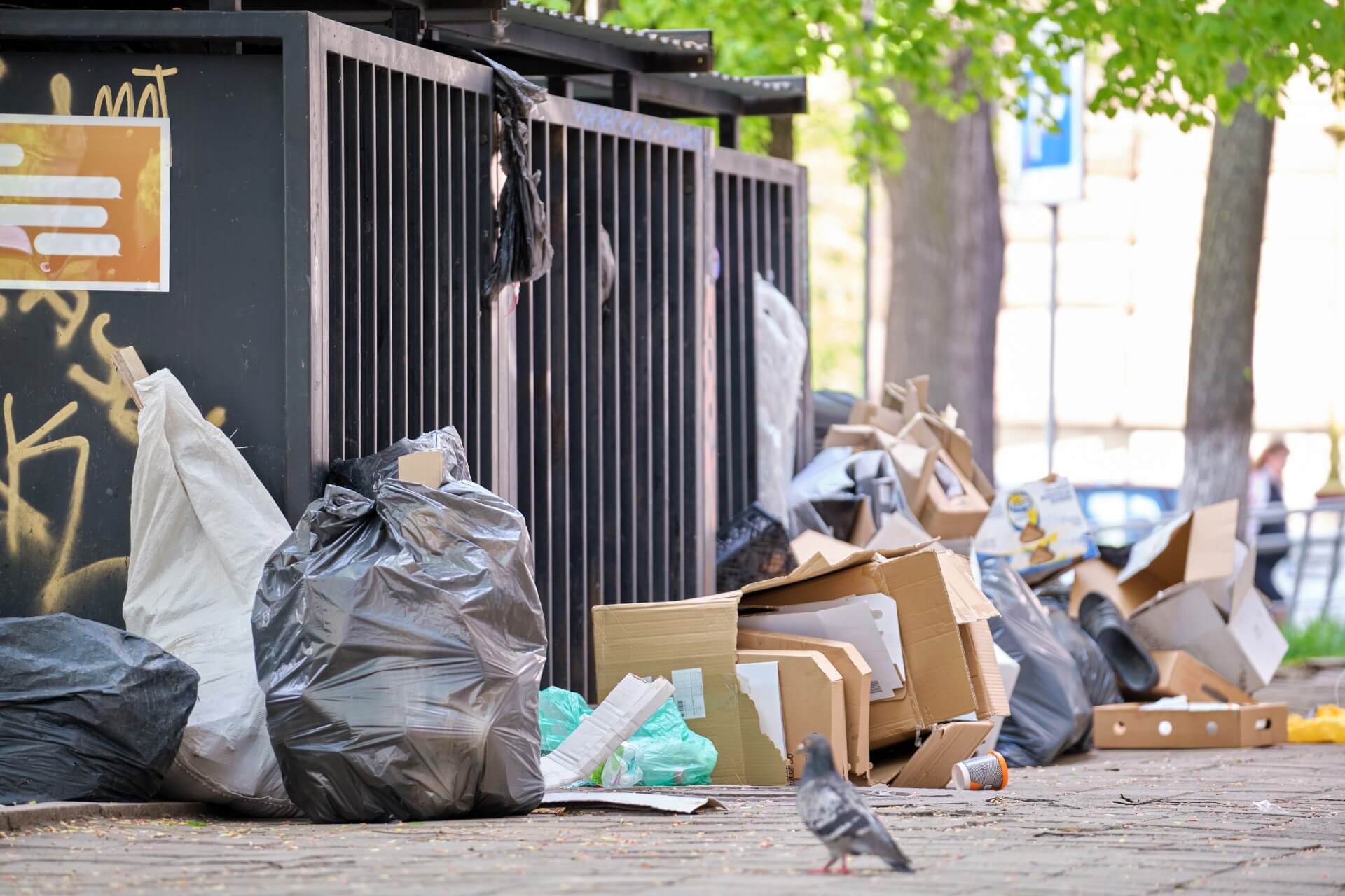 Descarte incorreto de lixo pode causar problemas na rede de esgoto de Caxias do Sul